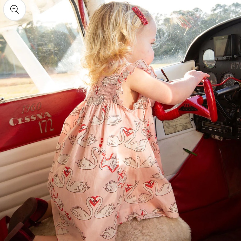 Pink Chicken / Stevie Dress Swan Love